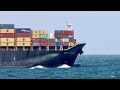 Northern Jubilee outbound off Point Lonsdale, Victoria, Australia.