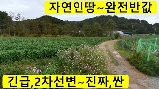 자연인땅,완전반값~총1600만원,2차선변~농막,바닷가땅,아름다운풍광,차박,캠프장,전원주택,근생건물,글램핑,싼땅,경매직전,급매물부동산 매매,급매물과 반값매매