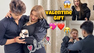 Surprising My Girlfriend With A New Puppy ❤️ *She Got Emotional Valentines 💌 Special