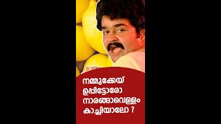 എന്താണ് നാരങ്ങയുടെ വില ഇങ്ങനെ കുതിച്ചുയരാൻ കാരണം? Lemon Price Hike