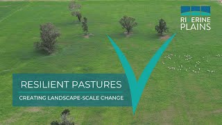 Creating landscape scale change through drought resilient pastures