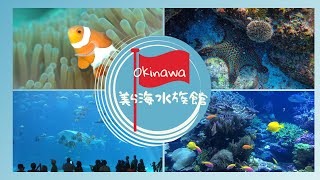 沖縄　美ら海水族館の魚達vol.1