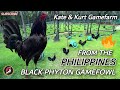 Top Beautiful Gamefarm in the Philippines | Kate & Kurt Gamefarm 🐓