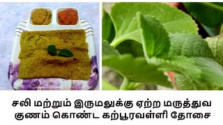 karpoorvalli dosai |கற்பூரவள்ளி தோசை | Indian Borage leaves Dosai Recipe