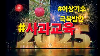 사과교육.이상기후대처방안#사과생산자협회#전대유연구소장#안동#문경