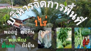 บริหารจัดการพื้นที่ในหนึ่งไร่พออยู่พอกินพอเพียงมั่นคงยั่งยืน