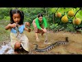 Catch snake by flood forest- Mother cooking snake soup for delicious +4food of survival