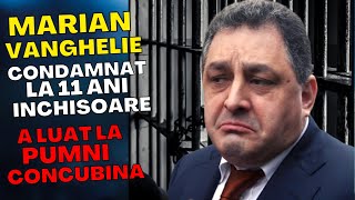 Marian Vanghelie și-a agresat soția, Vanghelie condamnat la 11 ani si 8 luni de puscarie