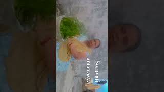 Happy somvati amavasya puja on Ranjana teach cooking