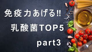 毎日の食事に含まれる、植物性乳酸菌の効能についてご紹介します。