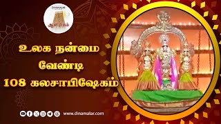 மதுரை சௌராஷ்ட்ரா பிராமண ஸ்ரீ சீனிவாசப் பெருமாள் கோயிலில் சிறப்பு வழிபாடு  Temple Festival  Madurai