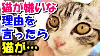 猫嫌いのおばあさんが猫が嫌いな理由を語ると、猫が…【猫の不思議な話】【朗読】