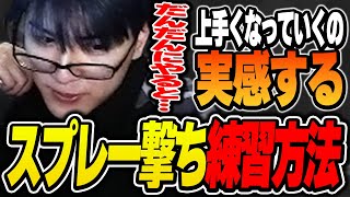 【質問】スプレー撃ちの練習方法を聞かれ答えるLaz※他1本【Laz/切り抜き】【2023/08/27】