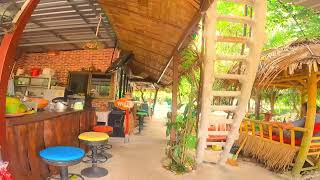 TRANQUIL OASIS: DISCOVER THE CALMING BEAUTY OF NATURE'S BEACHES, FORESTS & WILDLIFE | RELAXATION