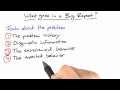 Vital Information - Software Debugging