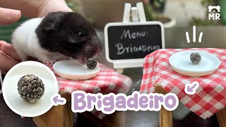 Como fazer brigadeiro para hamster ou gerbil 🐹