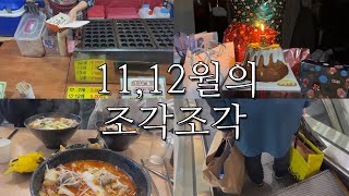 2022년 11,12월의 조각조각 브이로그 -VLOG