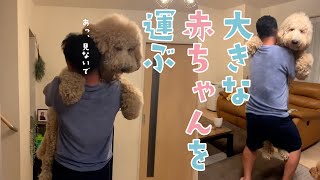 おおきなもっふもふを二階に運ぶ｜PECO