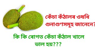 Jackfruit || কেঁচা কঁঠাল || Benifit of raw Jackfruit