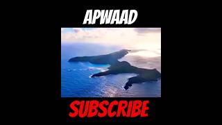 7 Days Stranded On An Island/ Mr Beast #ytshorts #shorts #apwaad #mrbeast #youtubeshorts #speed