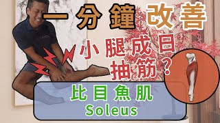 【痛症教室】小腿成日抽筋？點熱身拉筋都冇用？｜ 比目魚肌 ( Soleus)｜ 一分鐘放鬆系列