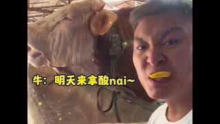 盘点动物的无语瞬间#搞笑#动物园