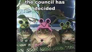 The Council has decided...