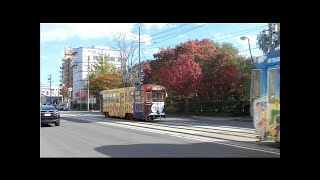 【函館市電】紅葉と８０１０号と７１５号