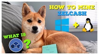 What is ZelCash? || How To Mine ZelCash on Windows + Linux (smOS)