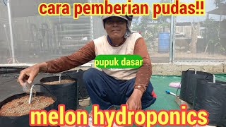 cara pemberian pupuk dasar melon hydroponics @masterhidroponik