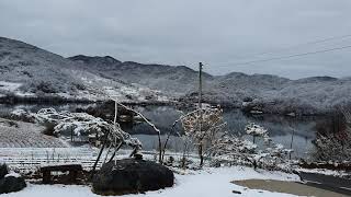 안동댐. 안동호.. 도목선착장. 예안면 도목리.춘설(21년 3월2일)예안면 도목리.