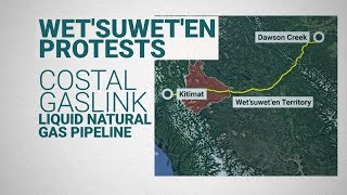 What is the Wet'suwet'en Nation protesting?