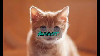 your month your cat