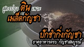 สูตรดินสำหรับเพาะเมล็ด ปักชำกิ่งกัญชา ทดลองใช้แล้วดีถึงบอกต่อ || มือใหม่หัดปลูกกัญชา || Pim's Studio