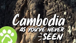 Amazing Cambodia!