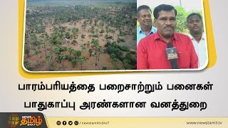 செங்கல் சூளைகளுக்காக அழிக்கப்பட்டு வரும் பனை மரங்கள் | Krishnagiri | Palm Tree