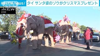 サンタ姿のゾウが…子どもたちにクリスマスプレゼント　タイ(2023年12月22日)