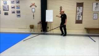 Wing Chun Dragon Pole Workout