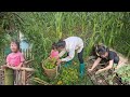 picking wild star fruit to sell and growing vegetables in the mother and daughter's garden