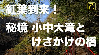 紅葉の小中大滝とけさかけ橋へ【ゆるっとNIKKOR】