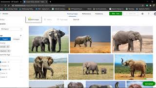 BDAT1007-Assignment 4 Tejaskumar Patel 200460587