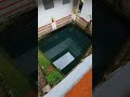 🐟 pond in hotel 🛏 munnar aby abraham tech vloges