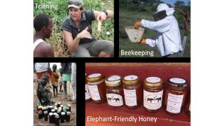 ELEPHANTS AND BEES - WINNER 2013 - Dr Lucy King - EIGHT PEOPLE WHO ARE CHANGING THE WORLD