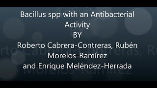 Bacillus spp with an Antibacterial Activity