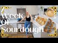 A Week of Sourdough! | Frugal, Homeschooling mama of 3 | Real life | RAW | Organic | 🍞 🍕🧁🍔🥖