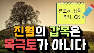 갑목은 진토를 극하지 않는다