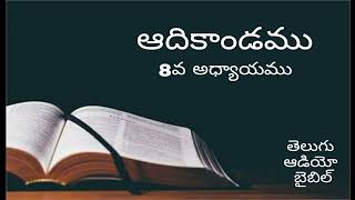 ఆదికాండము 8వ అధ్యాయము | Telugu Audio Bible | Genesis 8th chapter in telugu