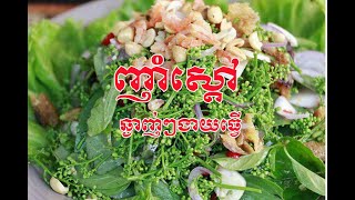 របៀបធ្វើ ញាំស្ដៅ