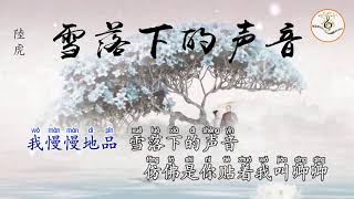 雪落下的声音  陸虎 拼音字体 ktv 卡拉ok字幕