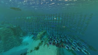 Making A Seamoth Every Day Until Subnautica 2: Day 465